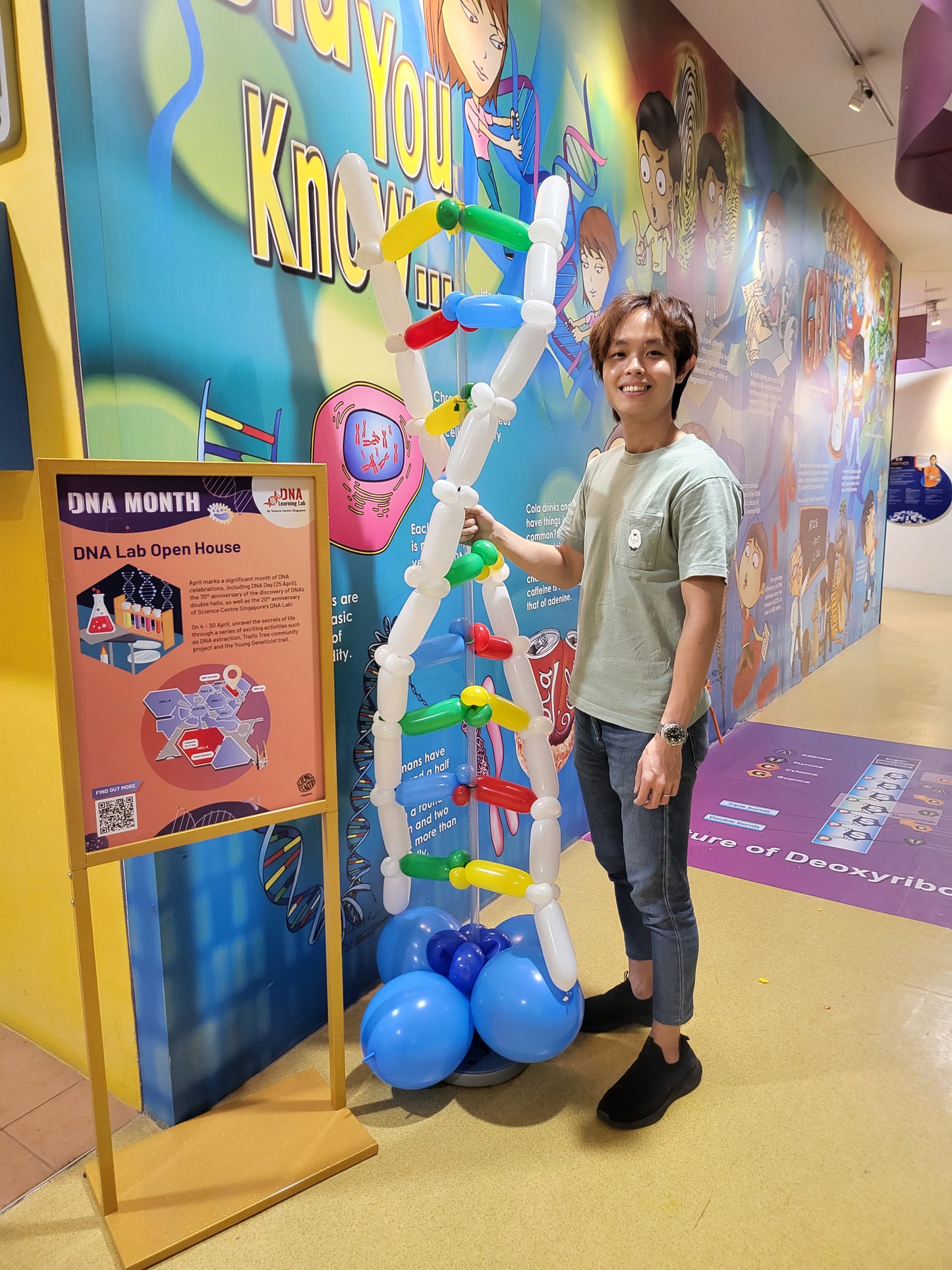 DNA Balloon Display