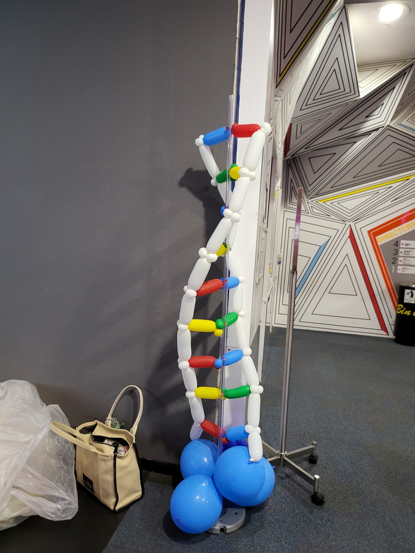 DNA Balloon Display